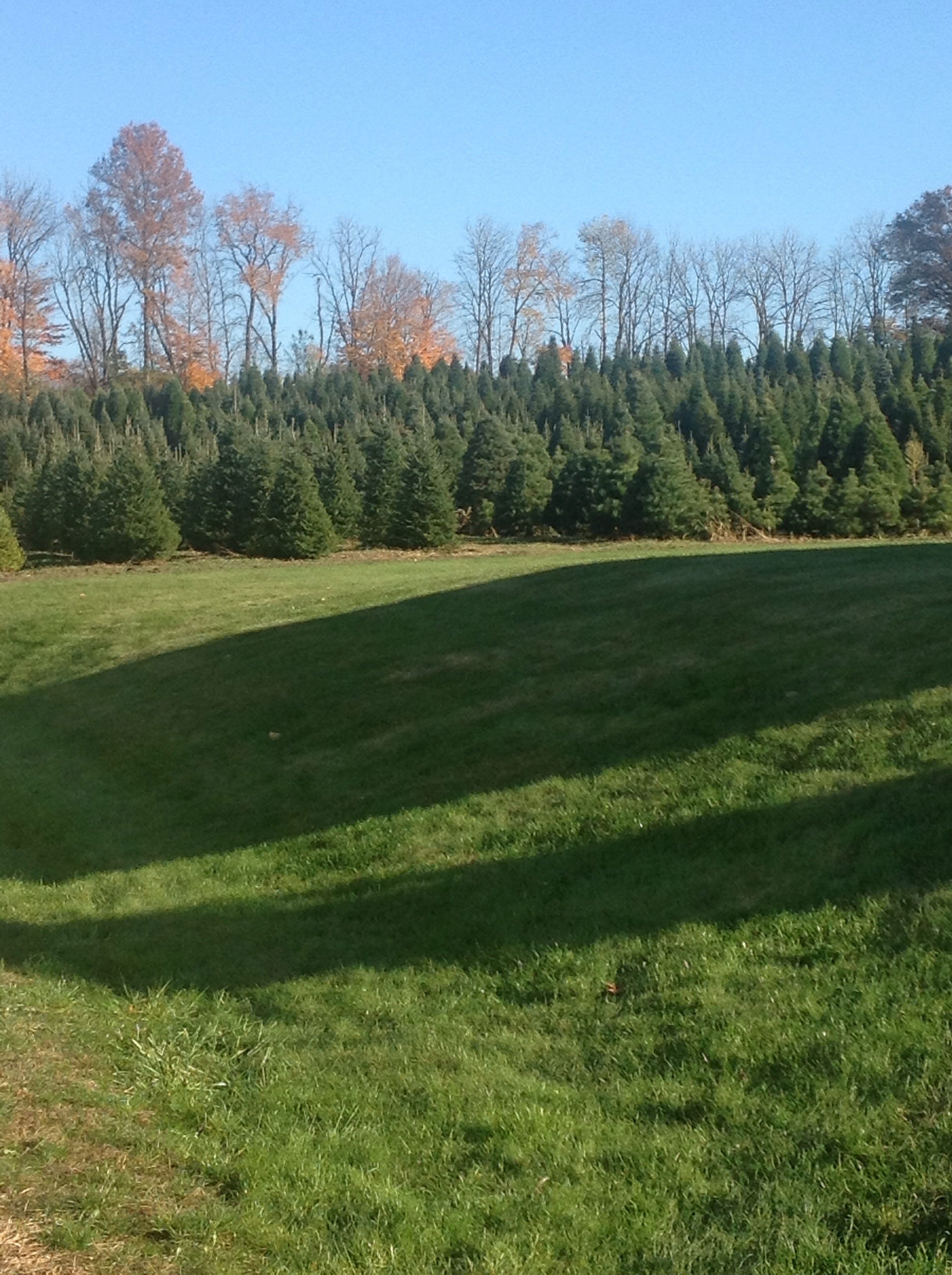 Adding Variety To Your Workout | Live Fit Women's Fitness